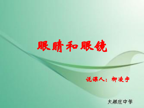 《眼睛和眼镜》说课PPT教学课件