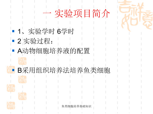 鱼类细胞培养基础知识