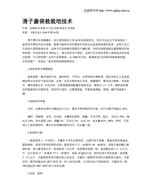 滑子蘑袋栽栽培技术