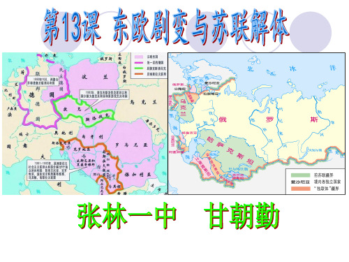 第13课东欧剧变与苏联解体中华书局版九年级下册历史