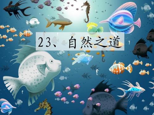 22.自然之道