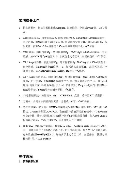 质粒构建