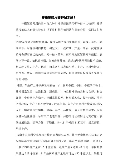 柠檬嫁接用哪种砧木好？