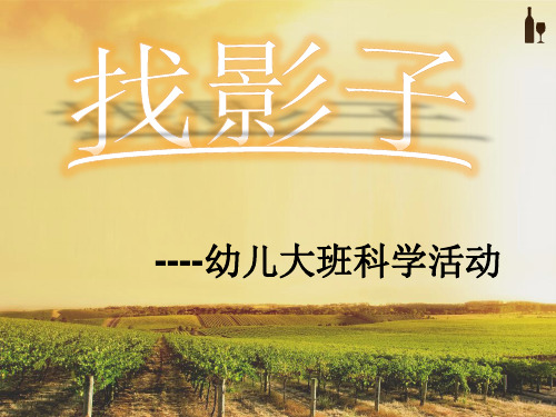 找影子PPT课件