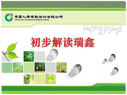 解读新瑞鑫