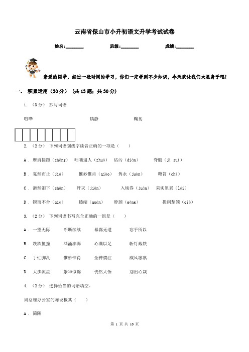 云南省保山市小升初语文升学考试试卷