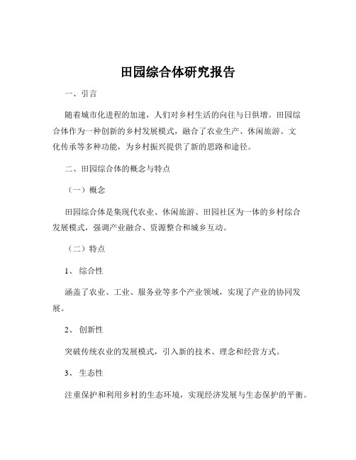田园综合体研究报告
