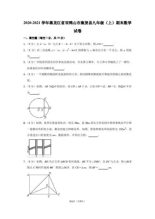 2020-2021学年黑龙江省双鸭山市集贤县九年级(上)期末数学试卷