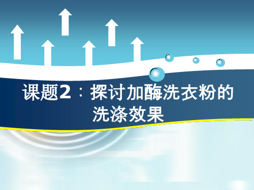 4,2探讨加酶洗衣粉的洗涤效果 PPT课件