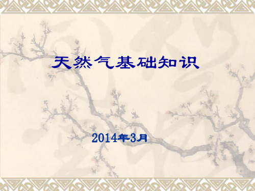 天然气事故举例
