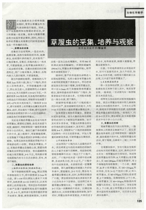 草履虫的采集、培养与观察