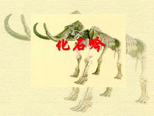 七年级语文上册化石吟课件