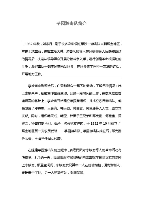 芋园游击队简介