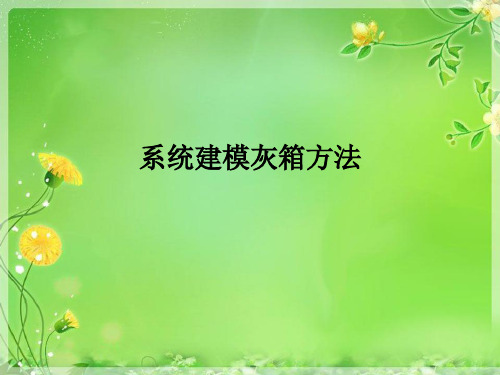 系统建模灰箱方法优秀PPT