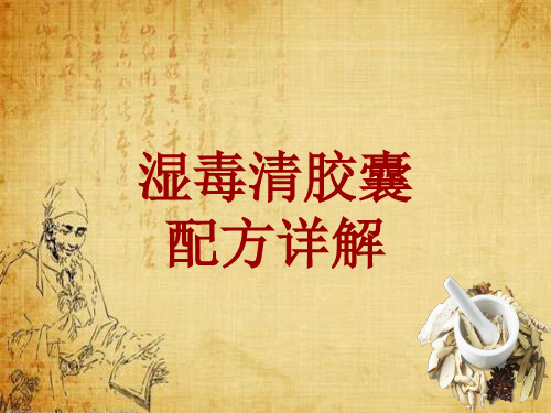 中成药配方详解：湿毒清胶囊