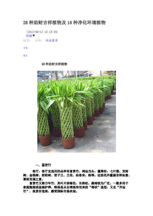 28种助财吉祥植物及18种净化环境植物