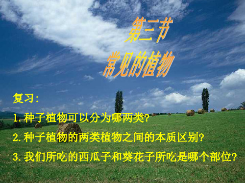 2.5-2常见的植物(无种子植物)