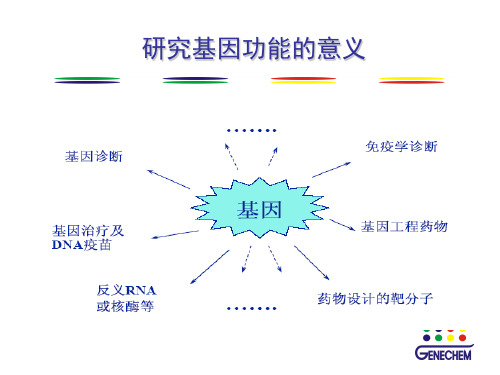 基因功能研究