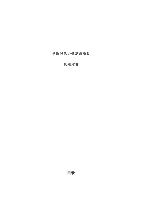 中医特色小镇建设项目策划方案