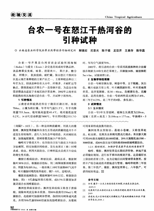 台农一号在怒江干热河谷的引种试种