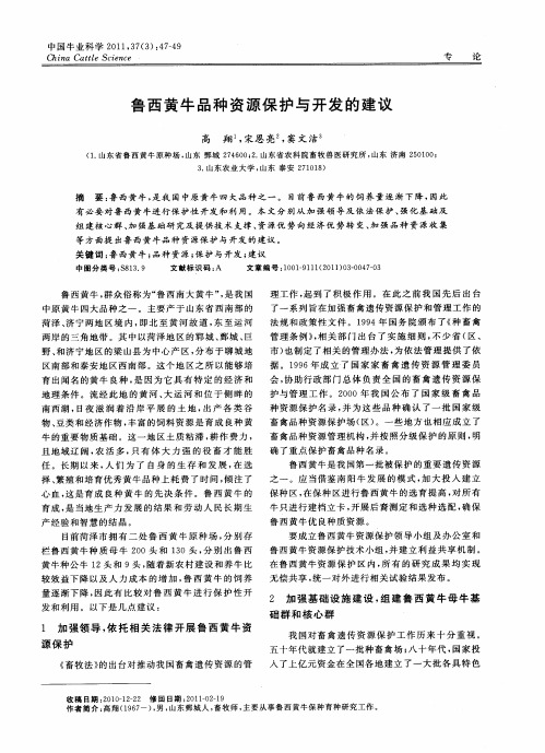 鲁西黄牛品种资源保护与开发的建议