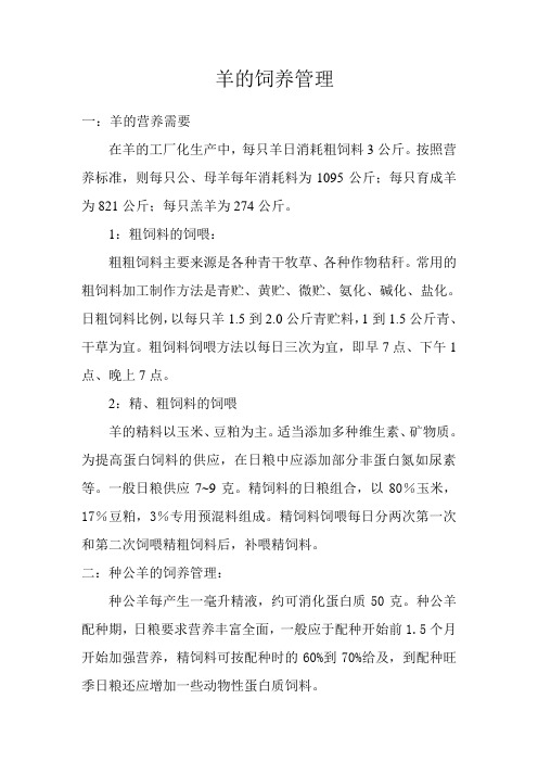 羊的饲养管理