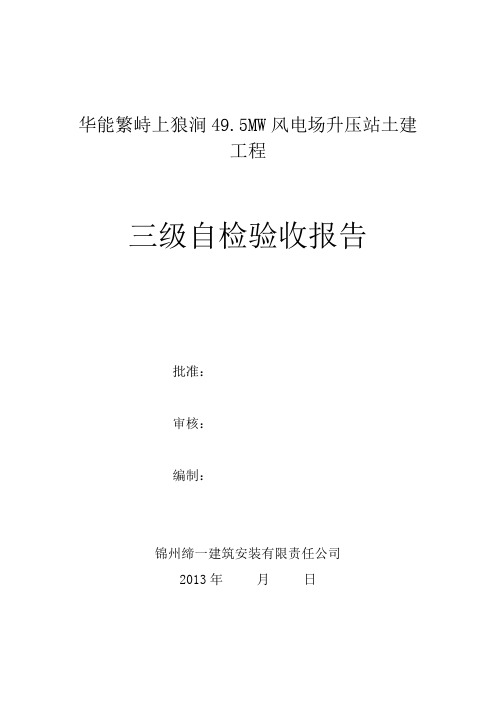三级自检报告