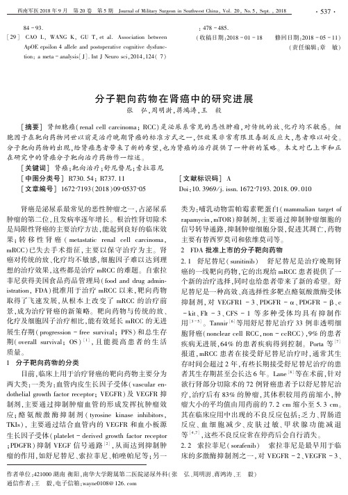 分子靶向药物在肾癌中的研究进展