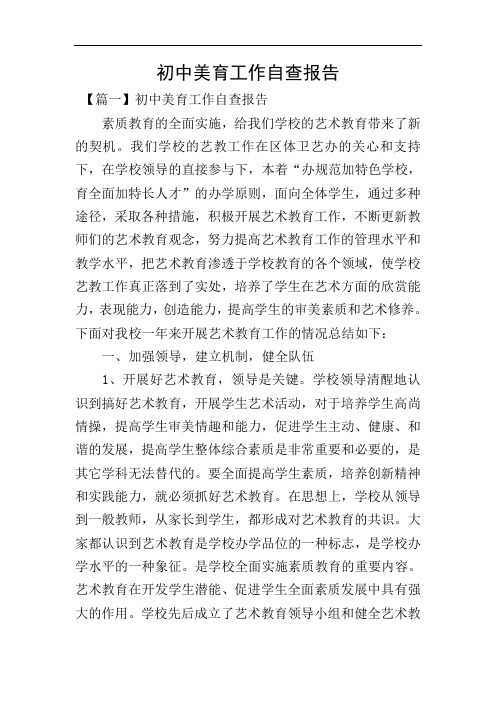 初中美育工作自查报告