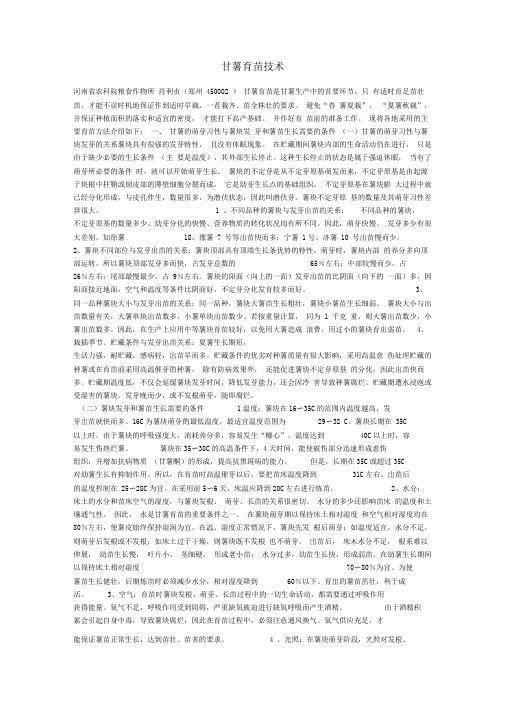 甘薯育苗技术