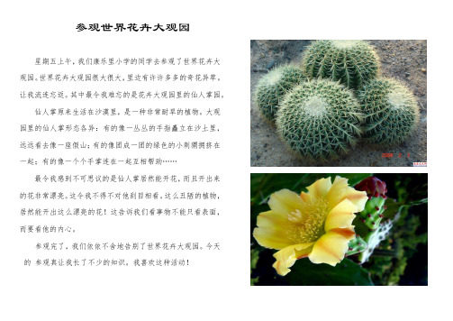 参观世界花卉大观园