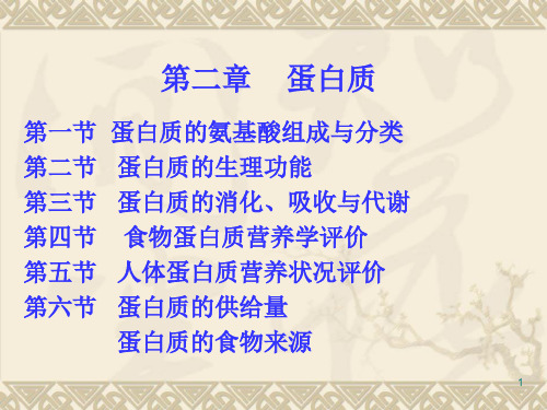 营养学基础蛋白质.ppt