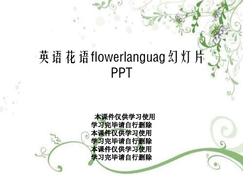 英语花语flowerlanguag幻灯片PPT