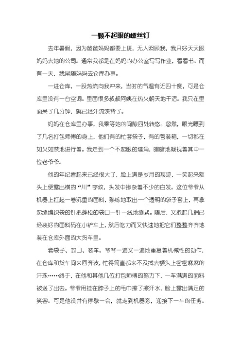 五年级作文：一颗不起眼的螺丝钉作文700字