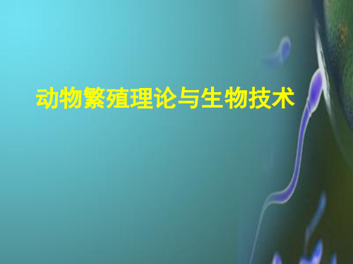 助产PPT课件