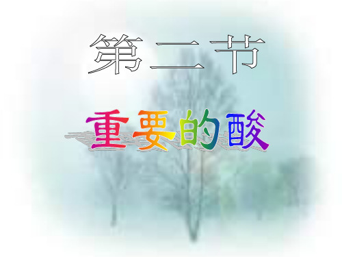 九年级科学重要的酸1(新编201910)