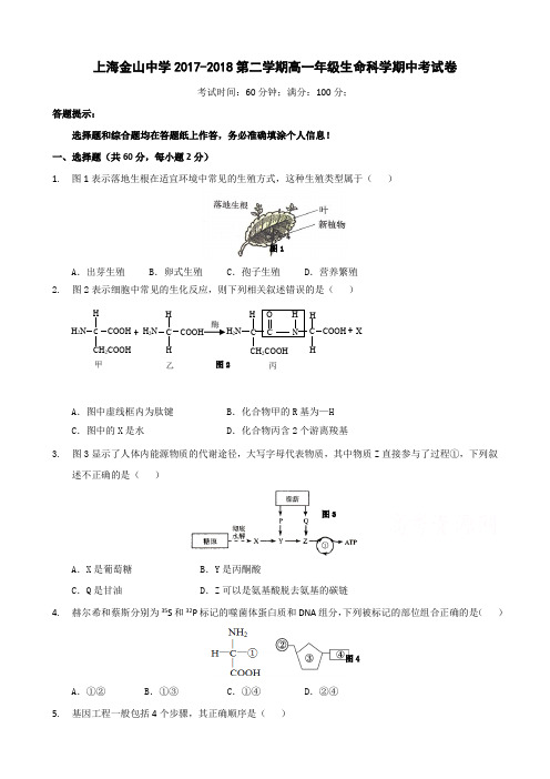 上海金山中学2017-2018第二学期高一年级生命科学期中考试卷