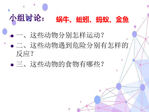 教科版三年级科学上册2.7动物有哪些共同特点优质课课件ppt