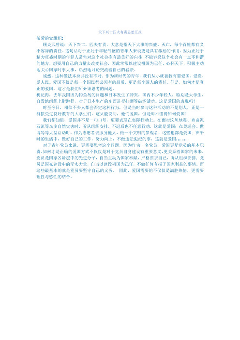 天下兴亡匹夫有责思想汇报