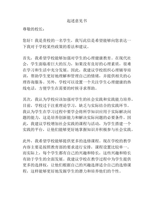 起述意见书