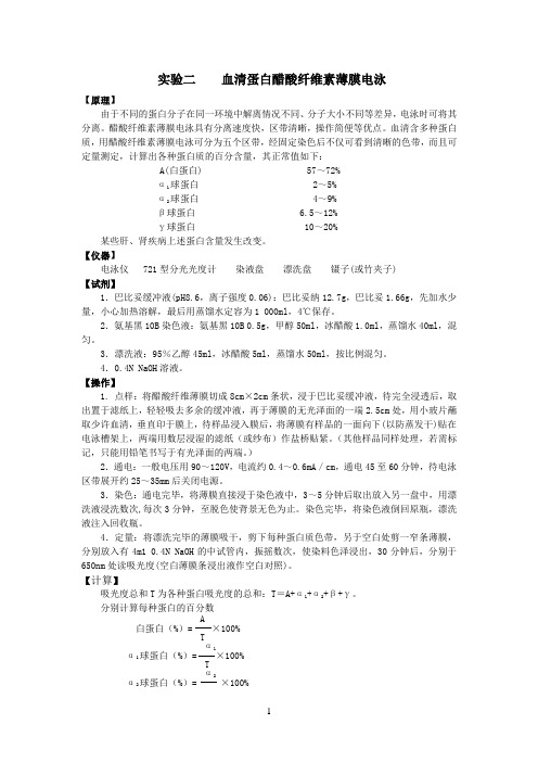 血清蛋白醋酸纤维素薄膜电泳