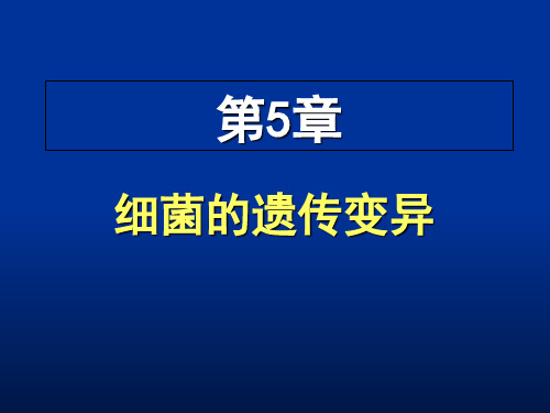 05细菌的遗传变异