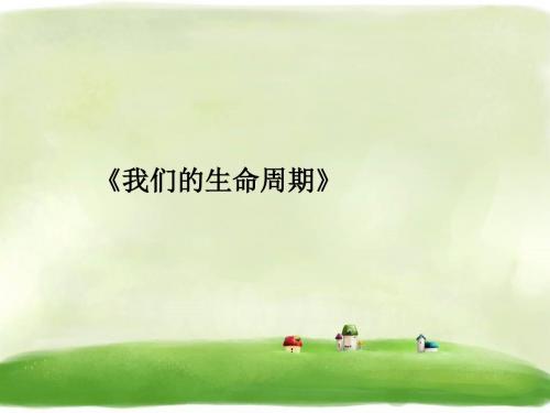 《我们的生命周期》精品课件 教科版 14