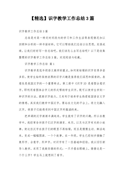 【精选】识字教学工作总结3篇