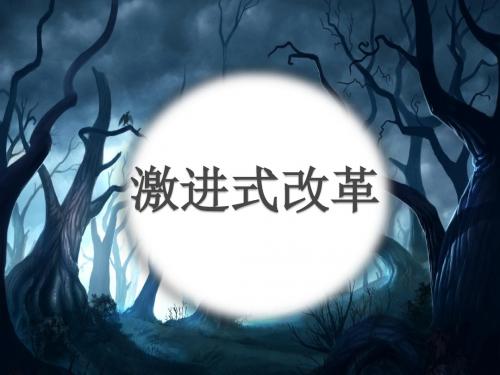 激进式改革