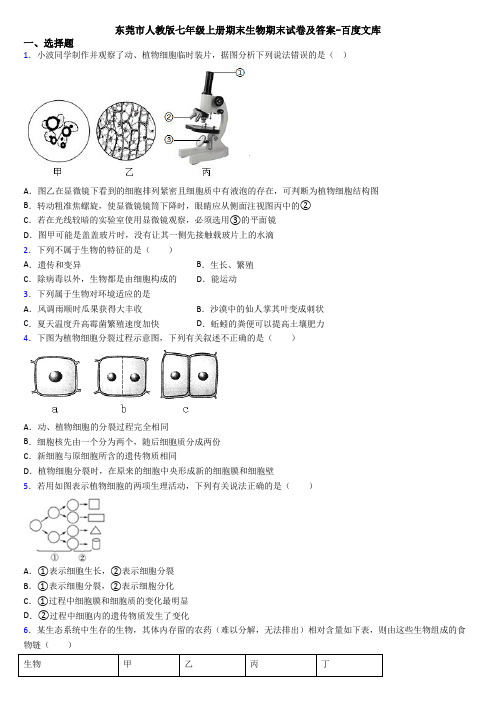 东莞市人教版七年级上册期末生物期末试卷及答案-百度文库