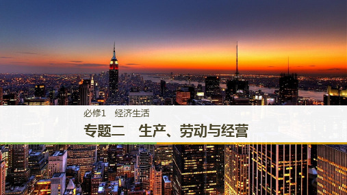 高考政治选考新增分二轮课件必修1经济生活专题二PPT模板