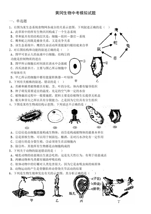 黄冈生物中考模拟试题