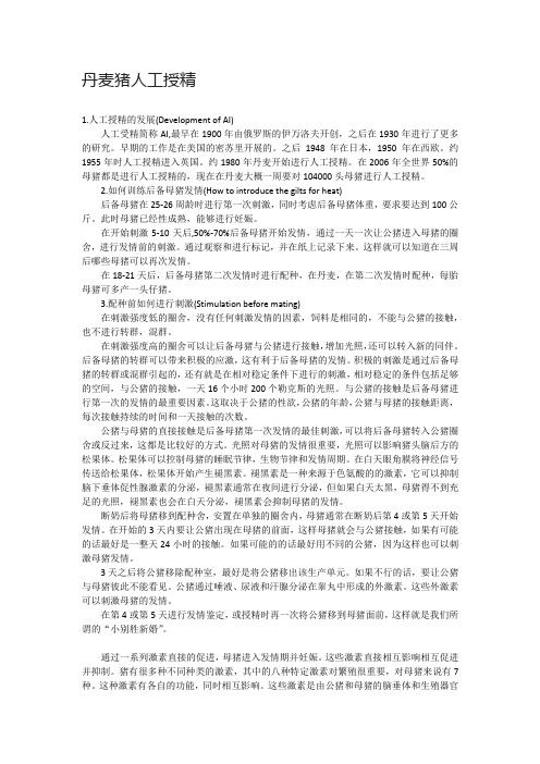 丹麦猪人工授精