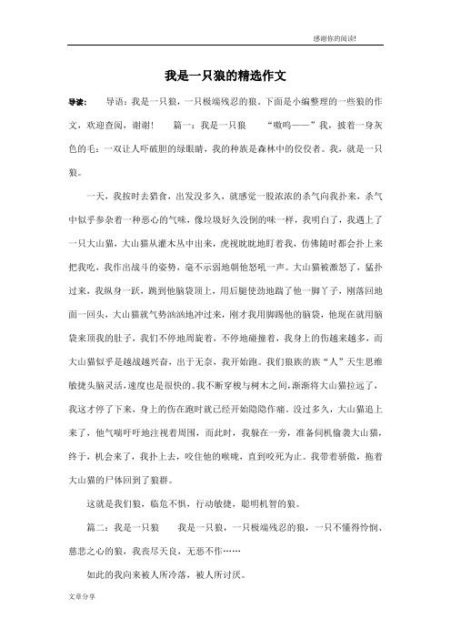 我是一只狼的精选作文